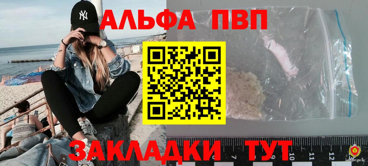 Alfa_PVP СК КРИС Орёл