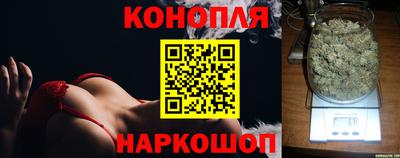 мдпв Ставрополь