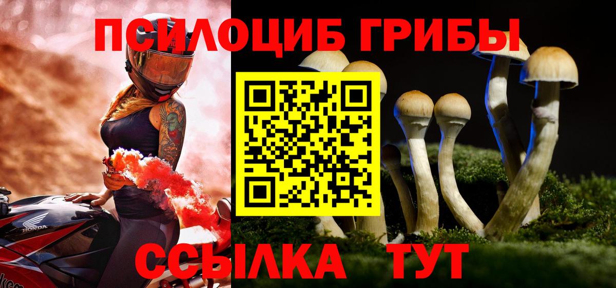 Псилоцибиновые грибы Psilocybine cubensis  Вход с VPN  Псилоцибиновые грибы Cubensis  Орёл 